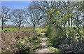 Bridleway to Southwater in RH13 9GP