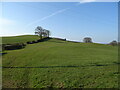 Hillside grazing near Carlingwha in LA6 2PY