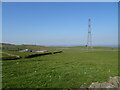 Grazing and pylon near Far Audlands in LA8 0HX