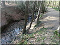 Stream in Banky Wood in TN20 6UP