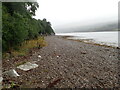 Loch Eil towards the Narrows in PH33 7NA
