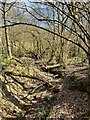 Stream at Brown's Wood in TN3 8AZ