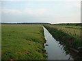 Tidal drain, looking south south west in LL47 6TR