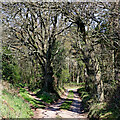 Bridleway north-east of Enville in Staffordshire in DY7 5HR