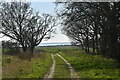 The track from Erwarton Hall to the Stour in IP9 1LF