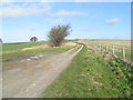 A section of the Ridgeway in SN8 1QQ