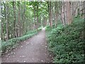 Path in Woodland Park in FK12 5NA