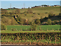 Old Railway Viaduct across the Avon Water in ML10 6TA