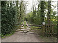 Gated Drive to The Warren in Antingham