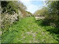 Bridleway at Tredington in GL20 7BY