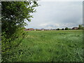 Grass field and houses on Plank Drove in PE6 0FE