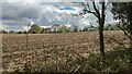 Ploughed field next to Mulberry House in GU8 6BA