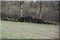 Logpile, The Wilderness in TN17 3NT