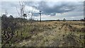 Burnt power line pole and scrub on Thursley Common in GU8 6LN