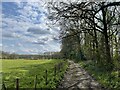 Bridleway near Great Wood in RH14 9AU