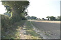 Footpath along field boundary in TN21 9EU