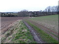 Footpath from Ben Cross to Compton Durville in TA13 5DD