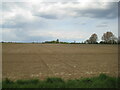 Gosberton Fen near Rigbolt Lodge in PE11 4JP