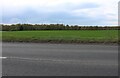 Field by Grimston Road, South Wootton in PE30 3UQ