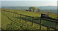 Fields by the John Musgrave Heritage Trail in TQ12 4PQ