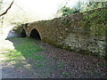 The Newdale tramway bridge in TF1 2JZ