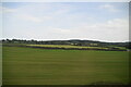 Large field by Reading - Taunton Line in BA11 5EP