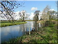 River Waveney upstream of Wainford Mill in NR35 2RU