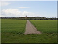 Wide straight Footpath in NR28 0JJ