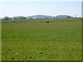 Paddocks near Aston Somerville in Aston Somerville
