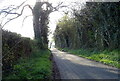 National Cycle Route 70 near Stripes Farm in CA17 4HH