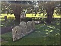 Churchyard at St. Dubricius' church (St. Devereux) in HR2 9DD
