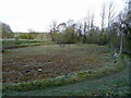 Dry pond, Jubilee Park, Kirkby Stephen in CA17 4SF