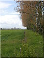 Tree lined Field edge in NR28 0JJ