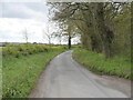 Lane near Ruggs Hall in NR28 0JJ