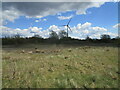 Wind turbine beneath a darkening sky in Ravenstone with Snibstone
