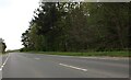Lynn Road approaching Stow Bardolph in PE34 3HZ