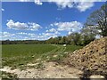 Fields beside Charmans Farm in RH12 3PS