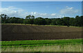 Ploughed field and woodland near the River North Esk in AB30 1QL