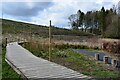 Boardwalk at Haining Loch, Selkirk in TD7 4DL