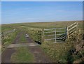 Bridle gate and cattle grid, Stratford Tony Down in SP5 4LH