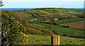 Dawlish Water valley from Long Lane in EX6 8HQ