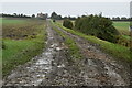 Track to Downham Road Farm in CB6 2UR