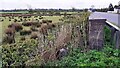 Parapet of bridge over Well Sike on east side of A7 in Westlinton