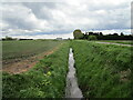 Drain alongside South Fen Road in Bourne Austerby Ward