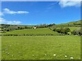 Fields around Ruel Uchaf, from a passing train in SY24 5BE