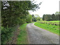 Track giving access to Vicarsford Cemetery in Drumoig