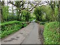 Bridge near Knowle Chicken farm in EX16 7HQ