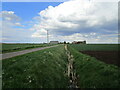 Drain alongside Langtoft Outgang Road in PE6 9QB