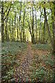 Footpath, Cockney's Wood in TN15 6NE