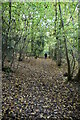 Footpath, Cockney's Wood in TN15 6HU